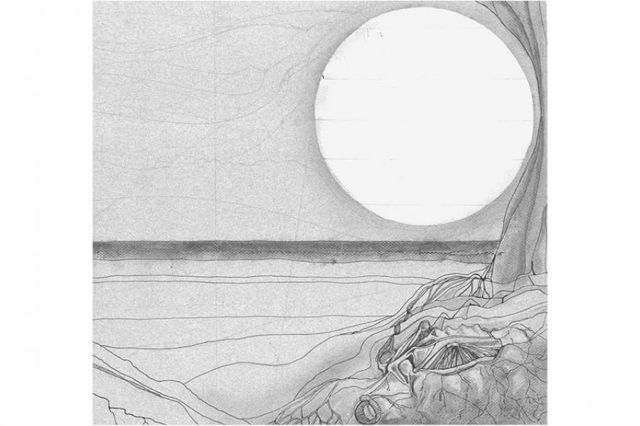 ‘Living Roots and the Communication of Trees’ (Graphite and ink pen on coloured paper)
