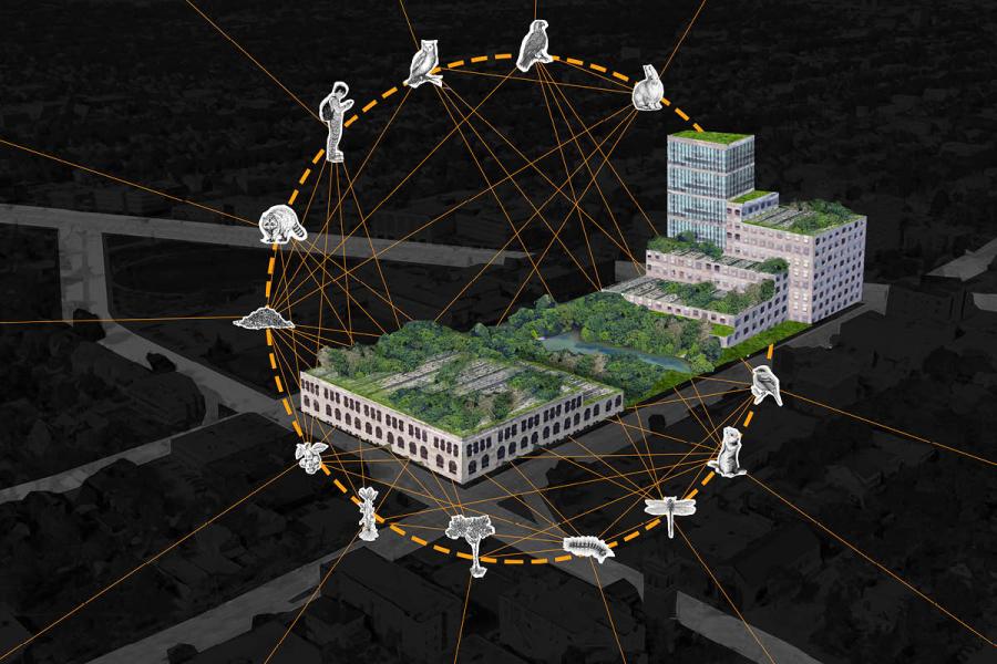 Diagram of the project concept of deriving an architecture for the given site as per the ecological relationships that can exist and further interconnect the site with its context