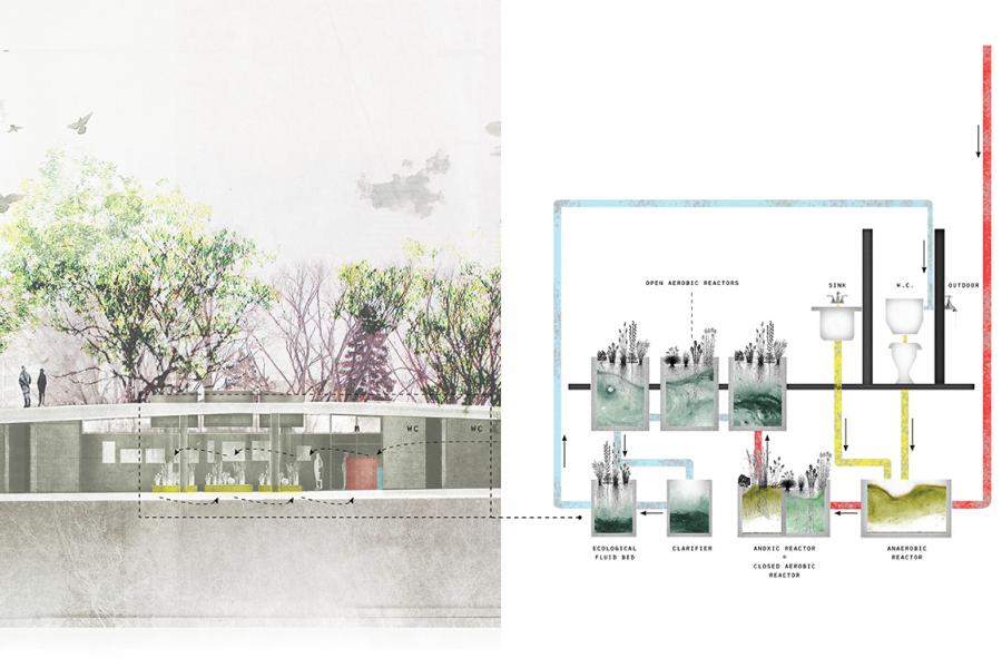 Memorial Park: Living Machine filtration system (Graphite and Photoshop)