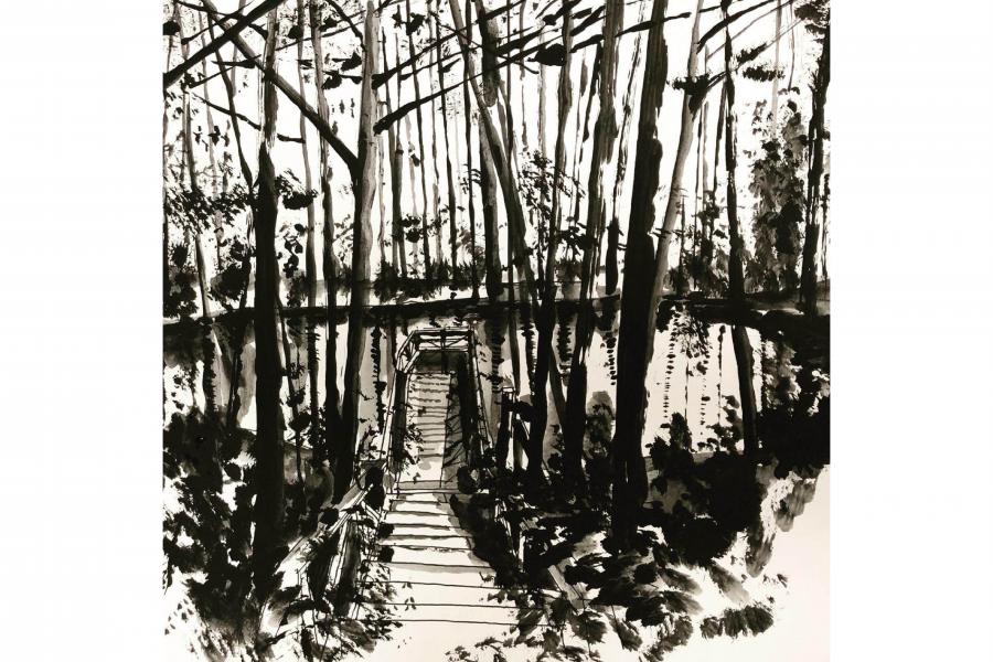 hand sketch of  walkway throught trees