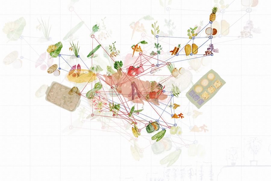 Proposed growing groups of vegetables.