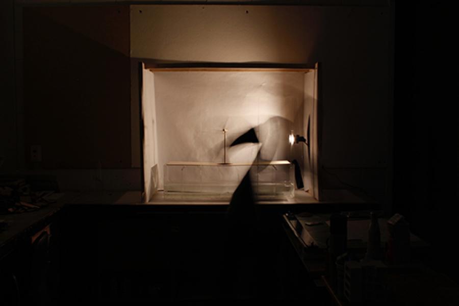 Light and movement within a dark room and small box cut in section