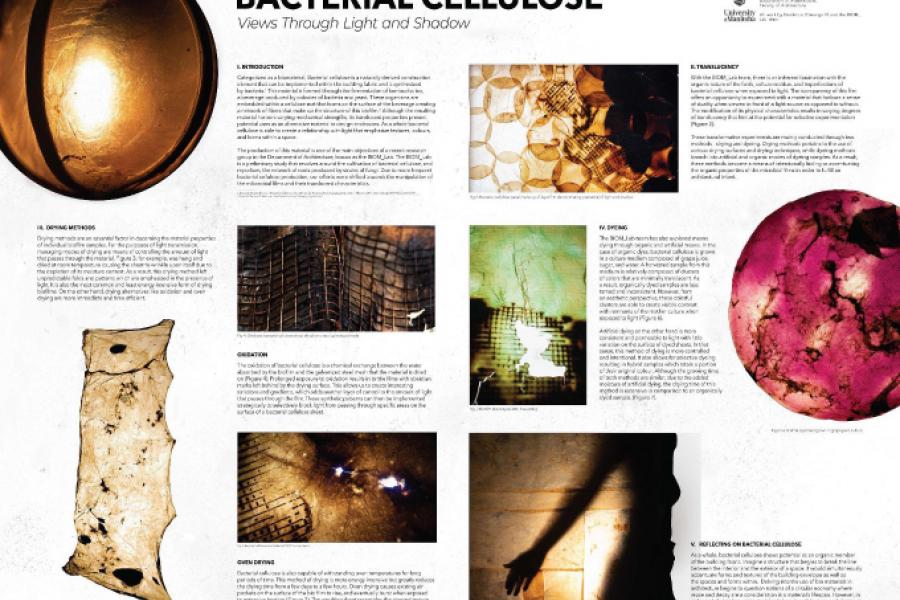 Poster of Bacterial Cellulose research