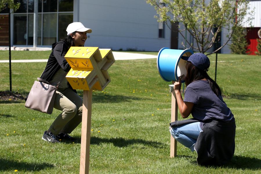Students playing with bee houses