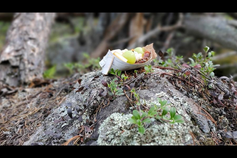 Offering in birch bark on mossy rock