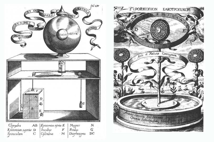 Magnetic clock and a sunflower clock