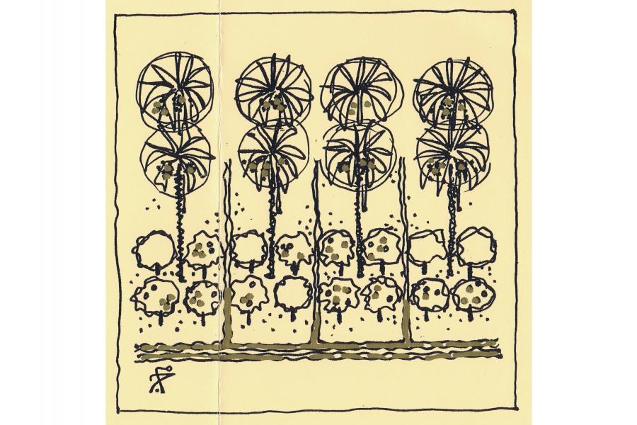 Drawing describing permaculture, a characteristic of productive landscapes in arid climate to ensure efficient use of soil and climatic sheltering in Iraq