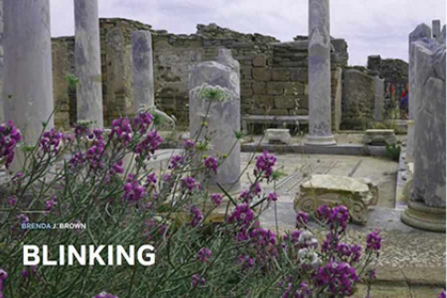 outdoor scene with concret pillars and purple flowers in the forefront with the title "blinking" writen on the image