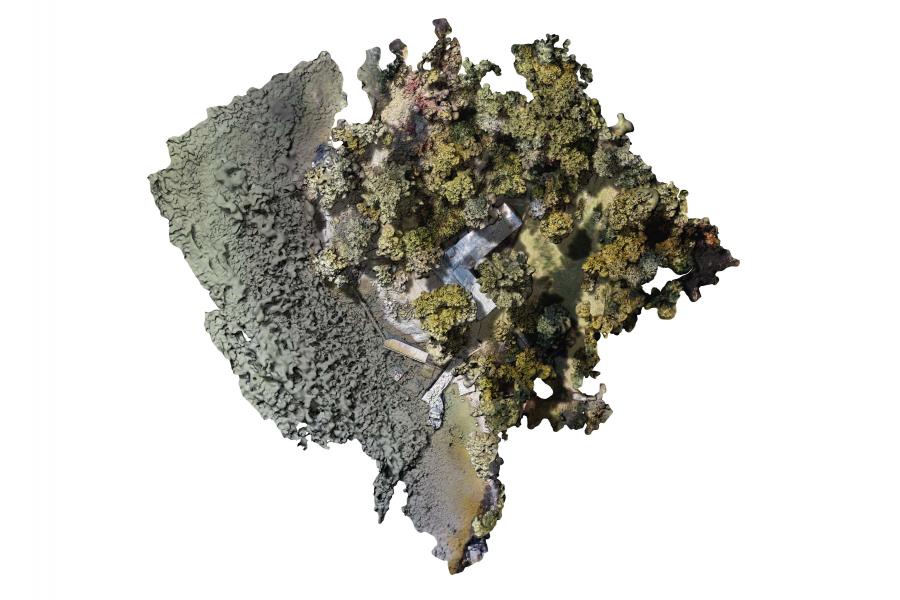 AR_DT_2022F_Moll_3_0