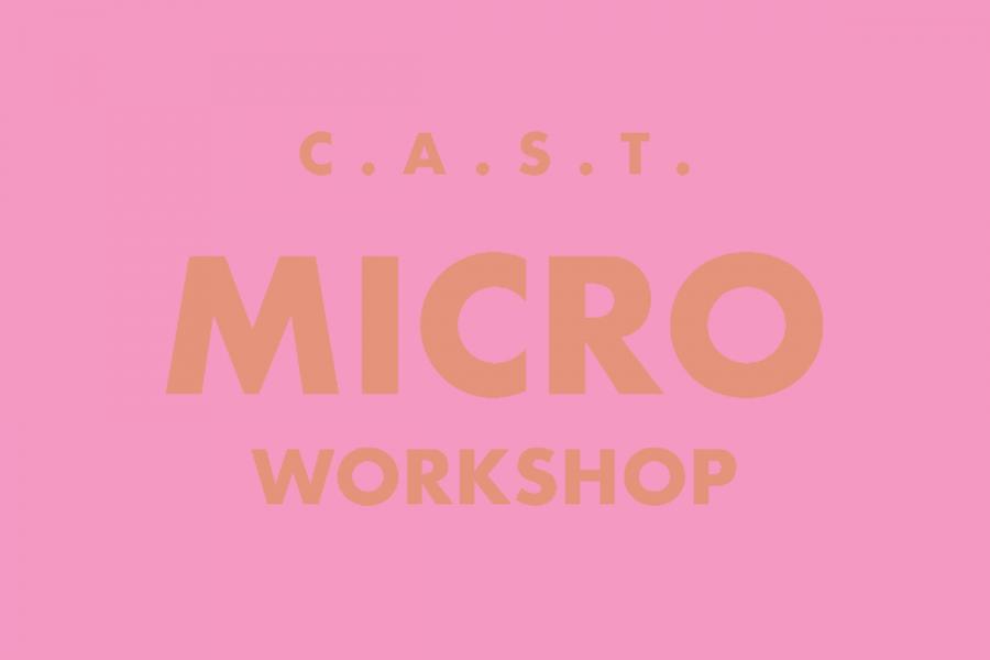 Pink background with red text that reads "CAST micro workshop".