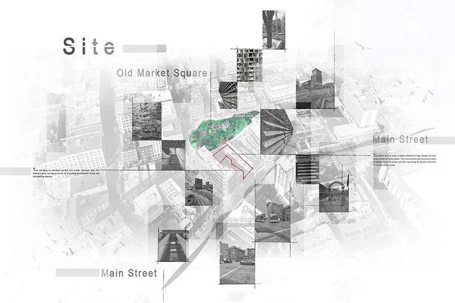 Collage of buildings overlaid on Winnipeg's Exchange District.