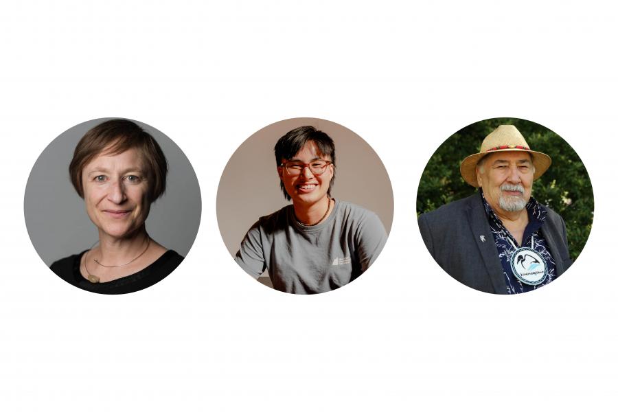 3 images of people
