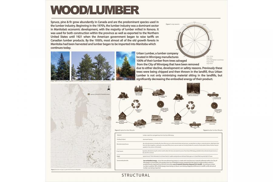 The infographic details the use of spruce, pine, and fir in Manitoba's lumber industry, featuring tree images, a growth cycle diagram, and a map of forest locations. It highlights Urban Lumber and includes a flowchart on the lumber lifecycle and a data table on material properties.
