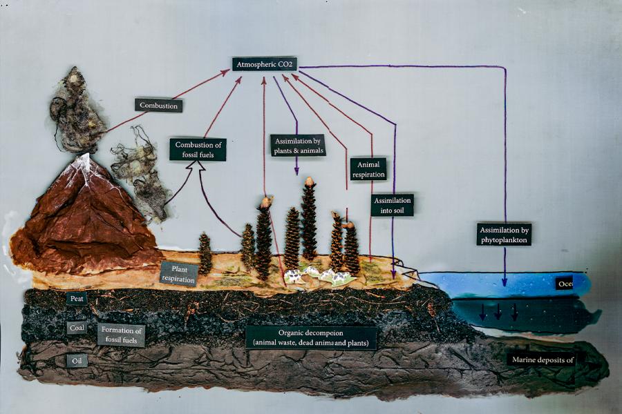 The image is a detailed carbon cycle diagram showing processes like combustion, plant and animal respiration, and assimilation by phytoplankton. It illustrates carbon movement through mountains, forests, grasslands, and oceans, highlighting key ecological processes.