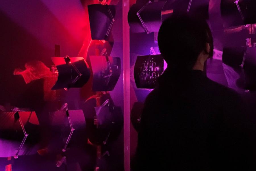 Abstract art installation with curved black panels lit by red and purple lights; a person stands silhouetted on the right.