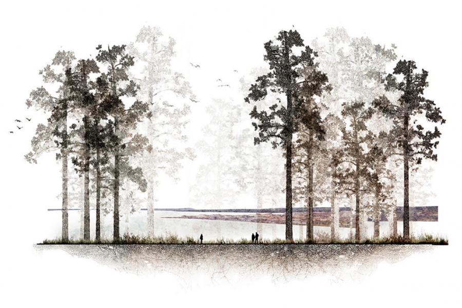 Silhouetted trees line a calm lake, evoking tranquility. Birds fly above, and three distant figures walk along the shore. The scene feels serene.