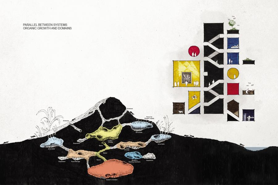 Diagram illustrating parallels between an ant colony and a building. The left side shows underground ant chambers; the right features colorful building sections.