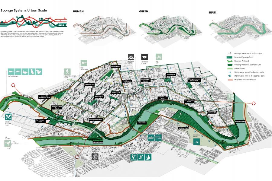 Illustrated map of an urban sponge system highlighting green, blue, and human interactions
