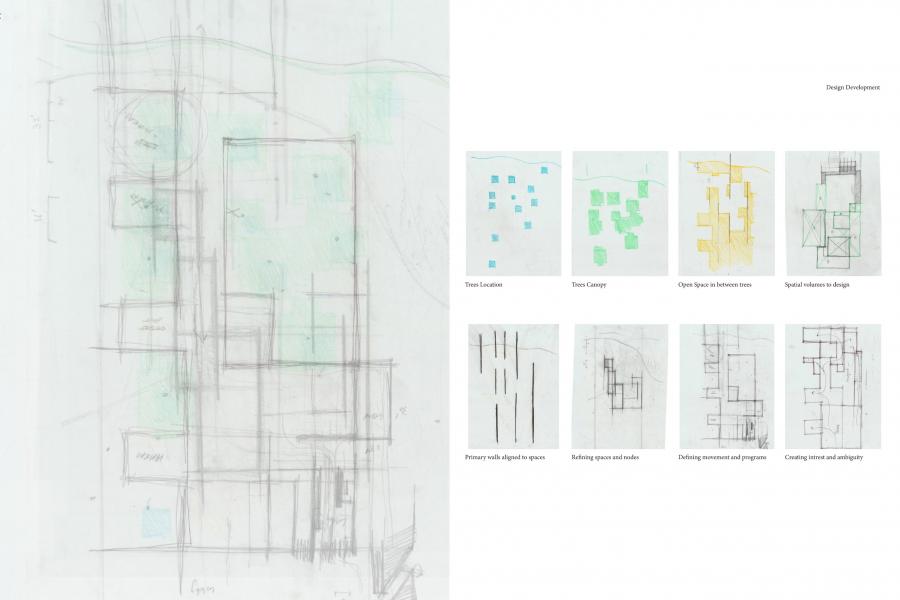 Abstract architectural sketches depict design development. Left: layered pencil lines over green shading. Right: eight smaller diagrams labeled with concepts like "Trees Location" and "Primary walls aligned to spaces." The tone is analytical and conceptual.