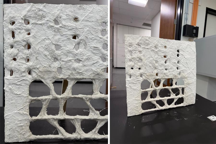 A textured white panel with organic shapes and holes stands on a black surface, creating a delicate and intricate pattern. Laboratory equipment is visible in the background.