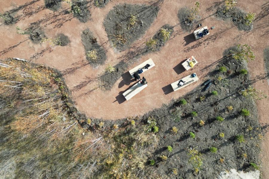 Aerial view of a park with brown pathways and sparse vegetation. Three benches host people and belongings, surrounded by dry, patchy greenery.