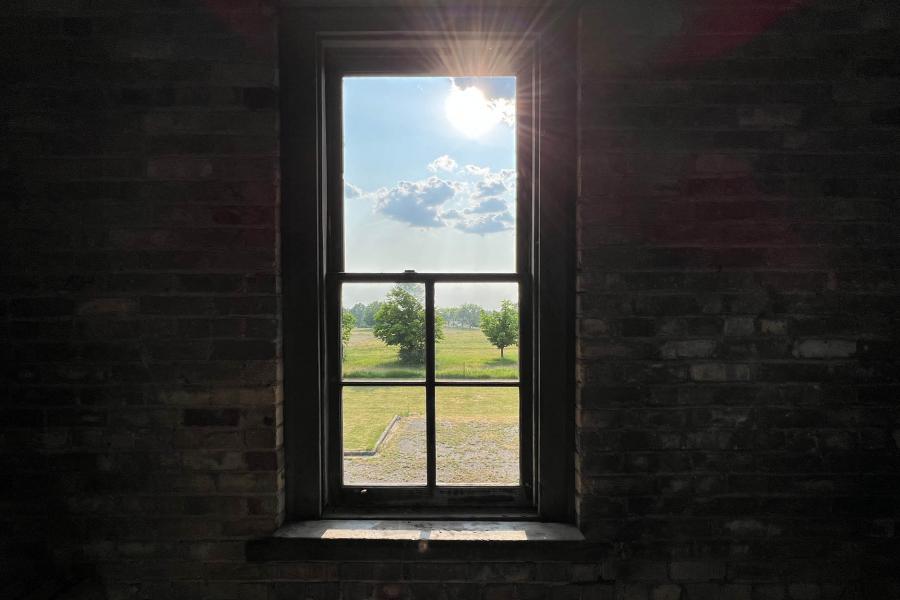 Sunlight streams through a window, illuminating a brick wall and casting a glow on a green landscape outside with trees and blue sky. Peaceful ambiance.