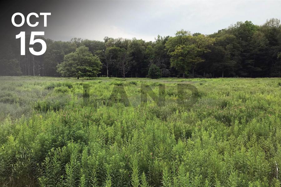 A lush green meadow stretches across the foreground with dense trees in the background under a cloudy sky.