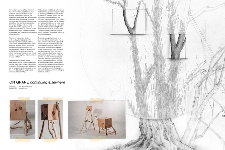 Pencil drawing of a tree trunk with detailed bark and branches on a grid. Left features wooden models on legs, resembling tree structures, taped photos.