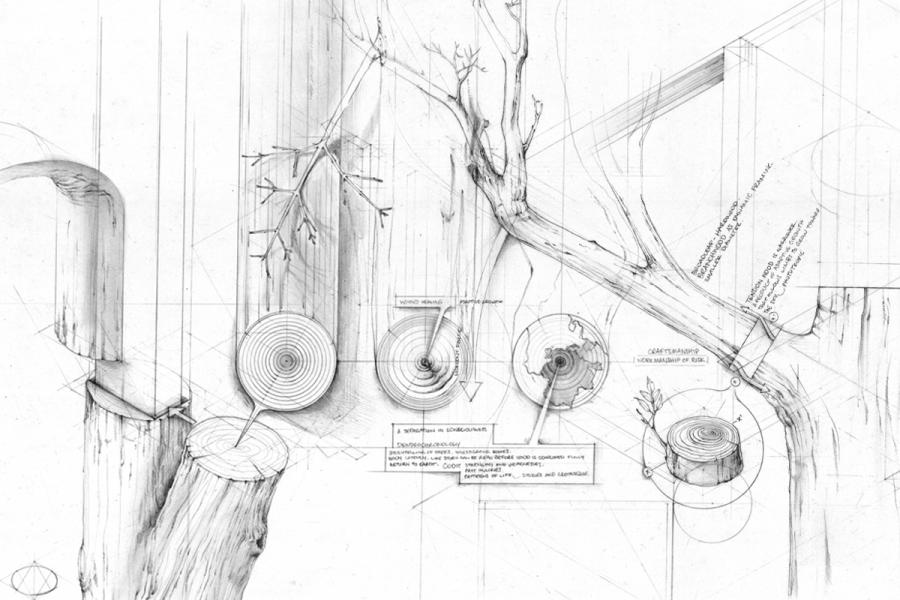 Intricate pencil drawing of a cut tree showing growth rings. Features branches and diagrams with geometric lines, conveying a scientific study of nature.