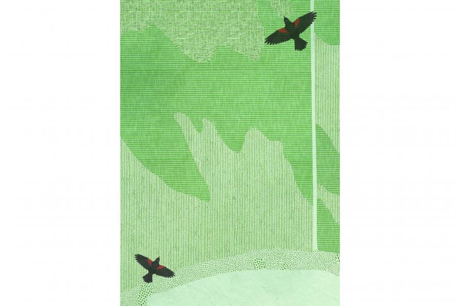 Abstract image of two black birds with red accents flying over a textured green landscape. The scene evokes a sense of freedom and tranquility.