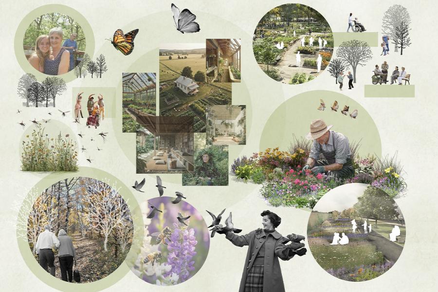 A collage of nature and community scenes, including gardening, outdoor gatherings, and wildlife. Vibrant flowers, butterflies, and birds evoke serenity and connection.