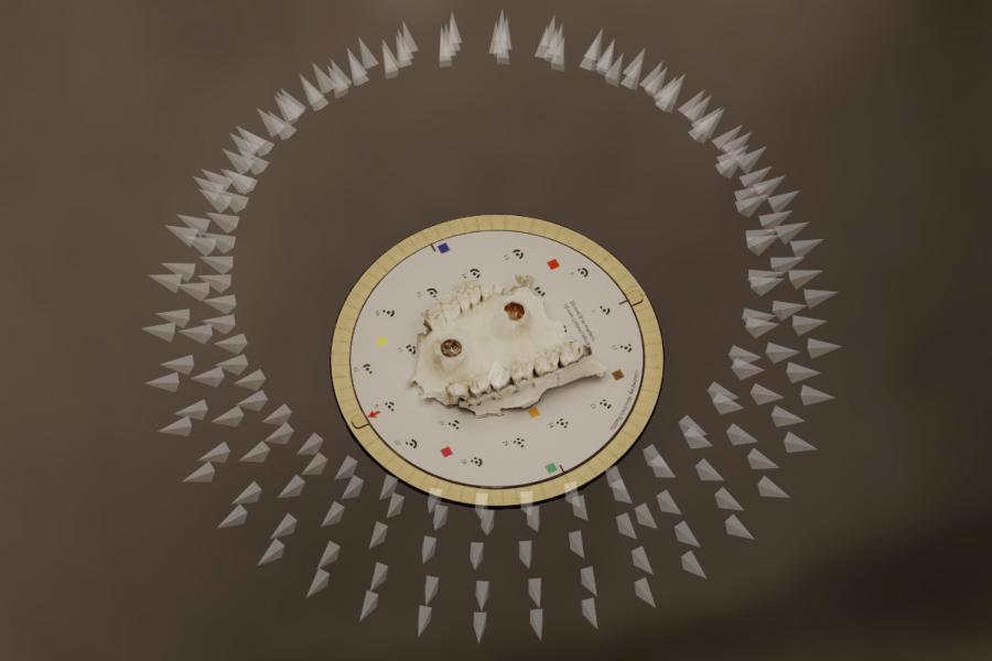 A skull rests on a circular board marked with symbols and colors on a dark surface. Surrounding it are concentric circles of paper triangles, creating a mysterious, ritualistic tone.