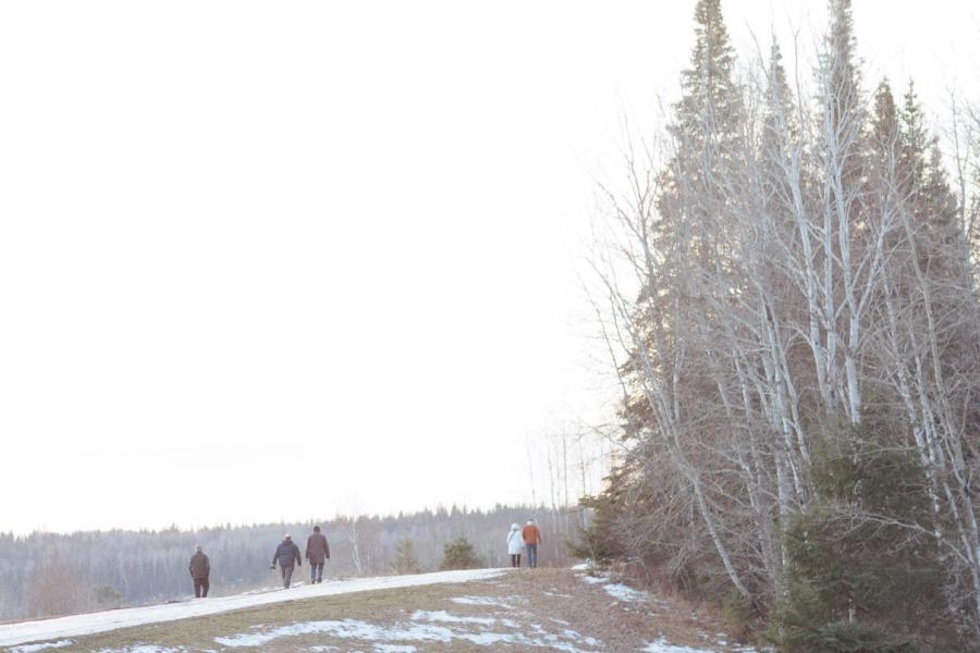 A group of people walk up a snowy hill beside a forest of tall, bare trees.