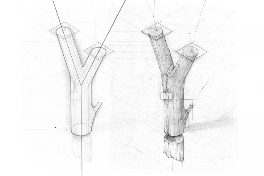 Pencil sketch of two Y-shaped tree branches. The left branch is a geometric, abstract form, while the right shows detailed, realistic wood texture.
