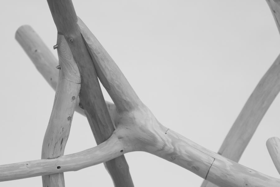Interwoven wooden branches in grayscale, forming a complex, natural structure against a light background, conveying organic beauty and simplicity.