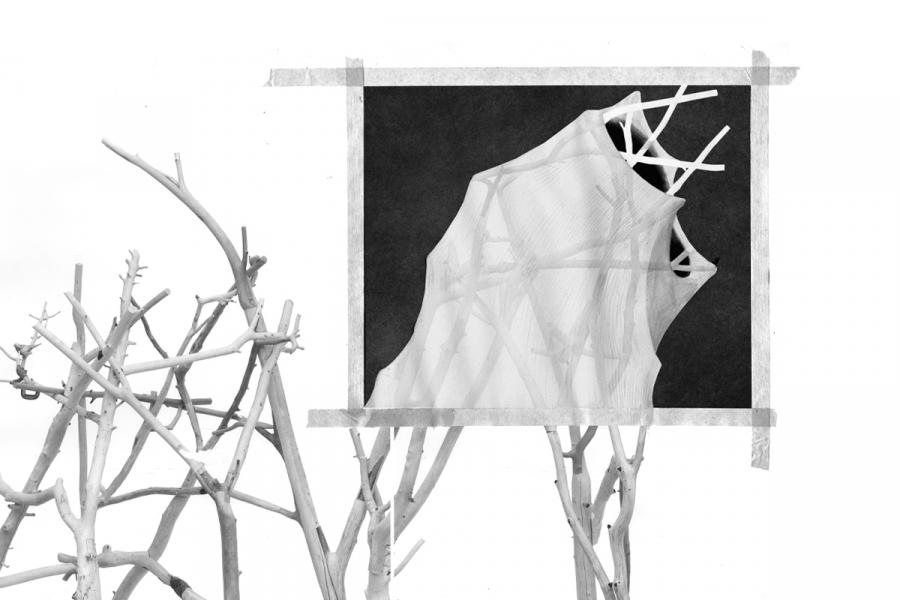 A black-and-white abstract image features skeletal tree branches intertwined with draped fabric, framed by tape on a dark background