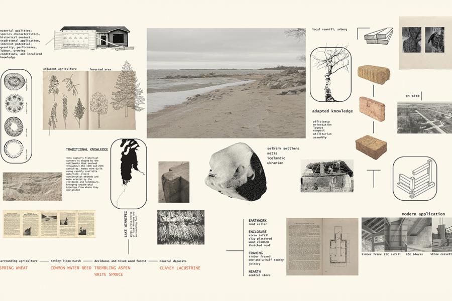 Collage with beach photo, tree sketches, and building materials. 