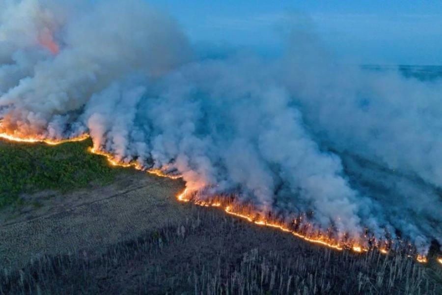 Aerial view of a wildfire burning along a forest edge, with bright flames and thick gray smoke spreading dramatically across the blue sky.