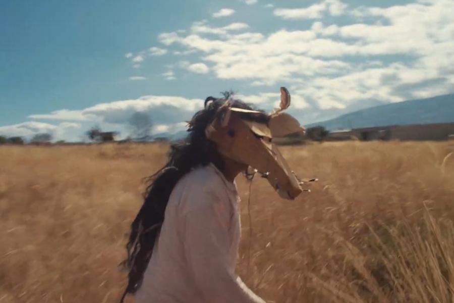 Person wearing a whimsical horse mask walks through a sunlit golden field, with mountains and blue sky behind; playful, dreamlike mood.