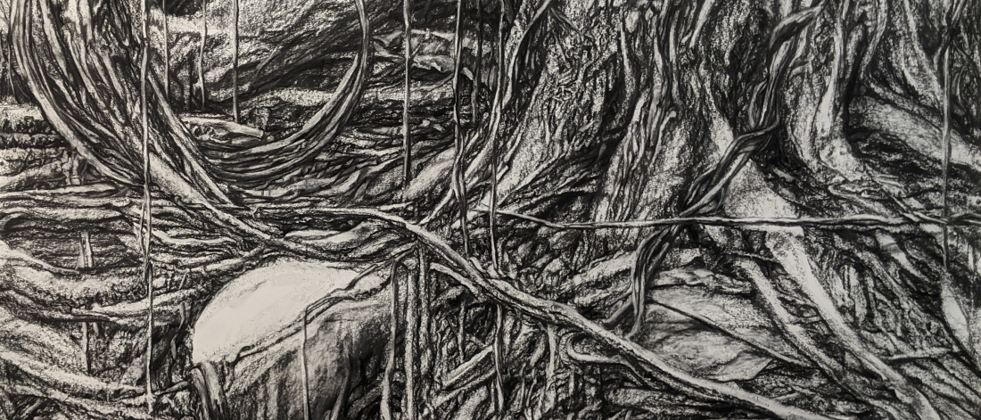 Ron Bechet, Transformation, 2021, charcoal on paper, 6’ x 7.5’. Photo: Eric Waters.