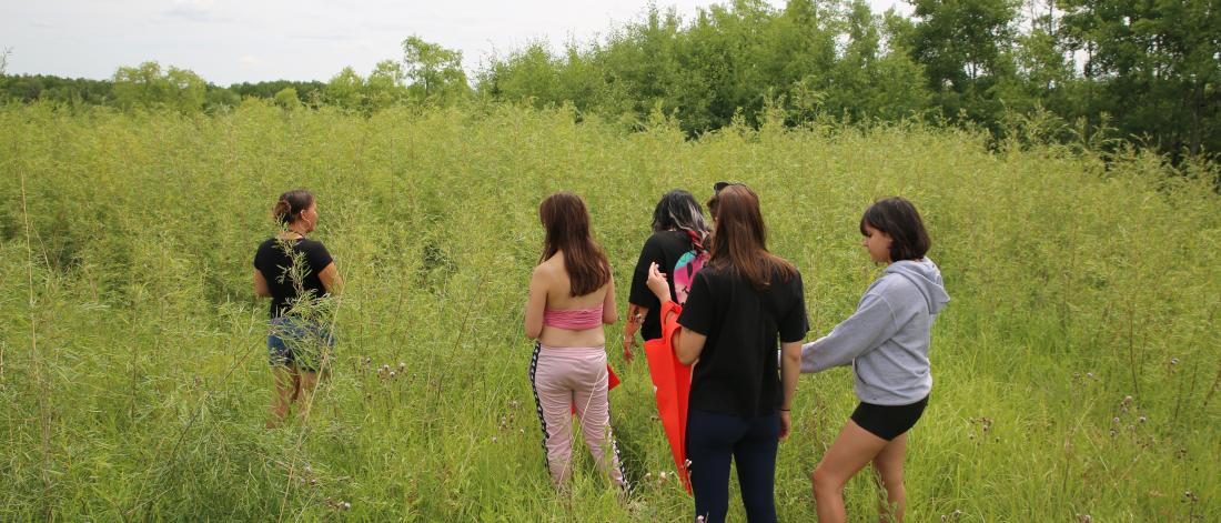 5 youth students stand in a green, long grass field, during a willow picking workshop