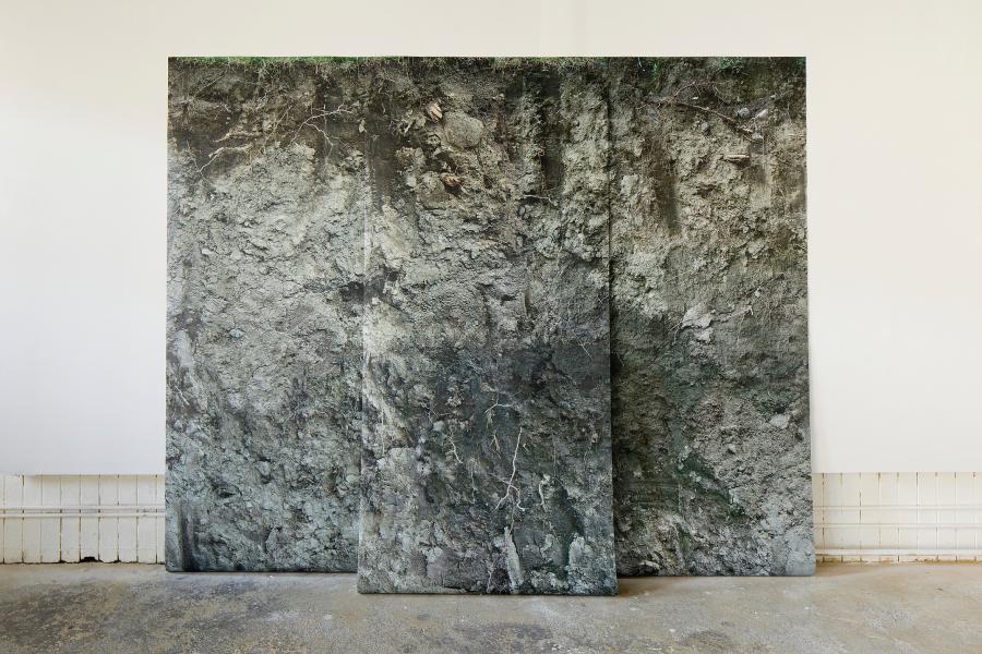Landscape Toner photographs printed on Tyvek Total size 9' x 8' (separated in 3 panels) 2011