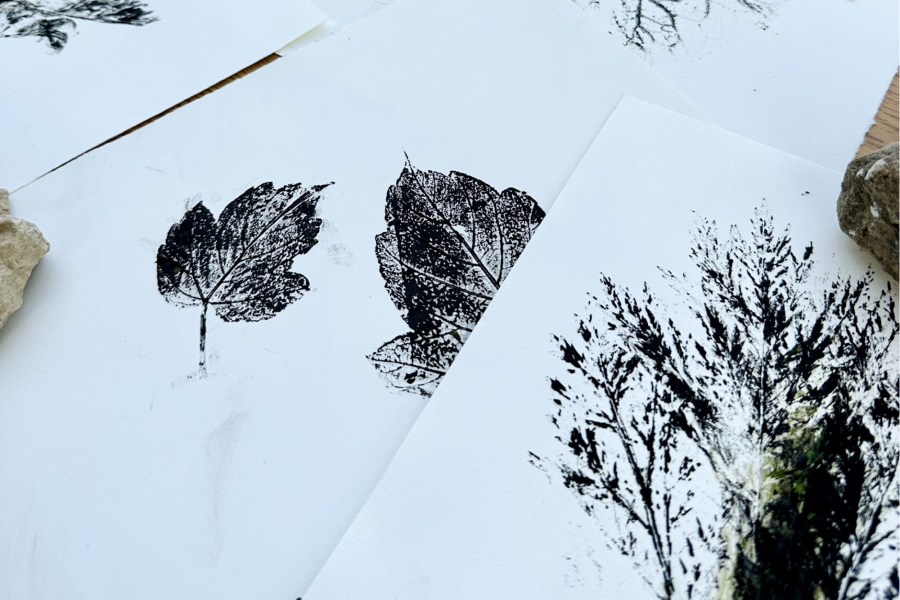 an array of white paper with foliage black ink prints on them
