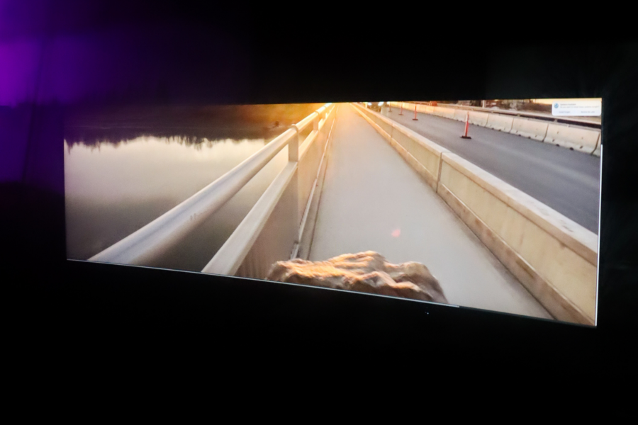 A projected video frame showing a sunlit pedestrian path on a bridge at golden hour. The viewpoint suggests a first-person perspective, with a large rock being carried or dragged in the foreground. Calm water runs alongside the bridge to the left, and a line of orange construction cones marks the road on the right.