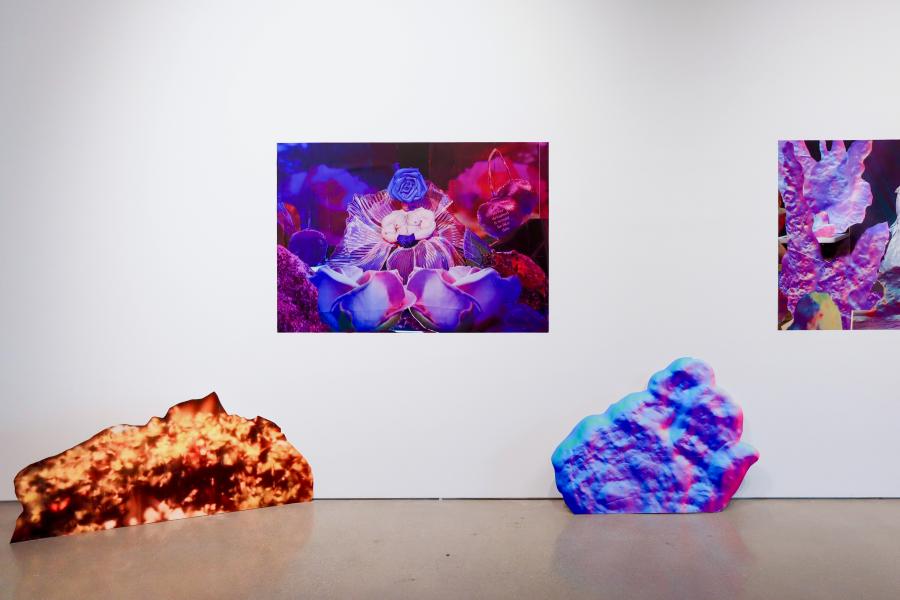 Installation view featuring photographs and sculptural cut-outs in the gallery.