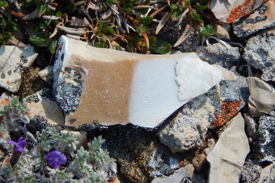 A brown and white crystalline rock on a bed of moss, wildflowers, and gravel.