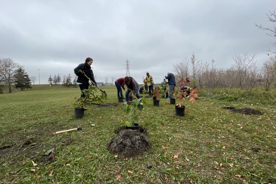 A group of students with shovels outside planting trees