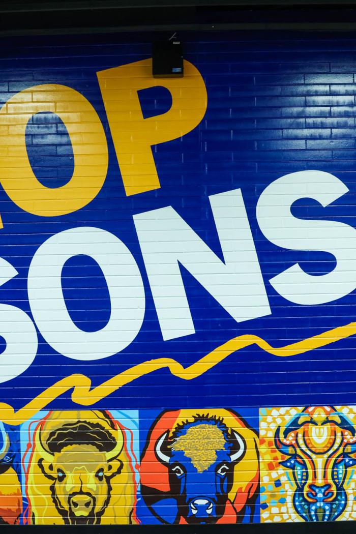 Shop Bisons