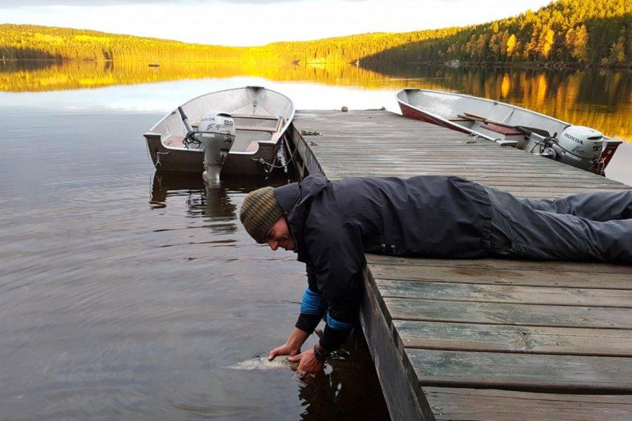 A young man in waterproof clothing lies on his stomach on a dock. He holds a fish in the water, set to release it.