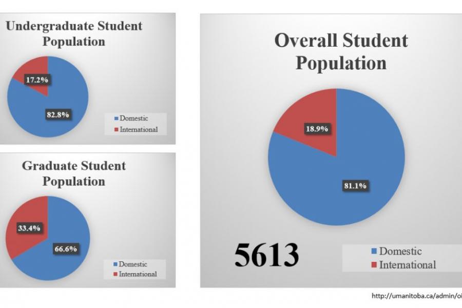 Undergraduate student population, 17.2% international. Graduate student population, 33.4% international. Overall student population, 18.9% international.
